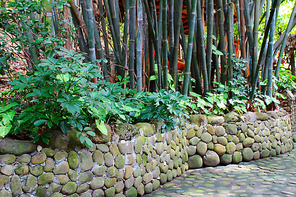 포토 JPG 해외이미지 나무 식물 아시아 문화 선 줄기 백그라운드 잎 자연 추상 미술 동양인 사람없음 초록색 환경 정원 중국 활발 성장 나뭇가지 신선 닫기 숲 신비 대나무 원예 베트남 공상 동쪽 내추럴 생태학 옛날 총쏘기 해외202004 해외포토 교육 나라 컬러 컨셉 무늬 모션 문화예술 인종 취미 동남아시아 방향 생태계 파일형식 이미지허브