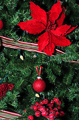 포토 JPG 해외이미지 전통 계절 기념일 열매 리본 크리스마스 겨울 공 휴가 전등 사람없음 장식 빨간색 초록색 빛 컬러풀 크리스마스트리 기쁨 축하 포인세티아 노엘 해외202004 해외포토 식물 꽃 감정 컬러 컨셉 조명 이벤트 파일형식 이미지허브