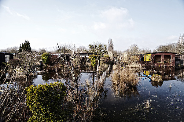 포토 JPG 해외이미지 나무 식물 자연 날씨 주택 사람없음 건물 환경 정원 수확 시골 파편 오두막 신비 폐허 원예 복고 마법 낭비 그런지 썩음 옛날 판잣집 필터 해외202004 해외포토 건축물 컨셉 농업 취미 생태계 파일형식 이미지허브