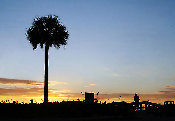 포토 JPG 해외이미지 나무 구름 모래 바다 섬 여행 잎 하늘 휴가 휴식 바닥 따뜻함 손바닥 사람없음 초록색 파란색 컬러풀 반사 맑음 수영 일몰 꿈 흰색 소나무 뜨거움 아래 초대 코코넛 남쪽 플로리다 해외202004 해외포토 자연요소 식물 손 컬러 컨셉 과일 날씨 노을 미국 수상스포츠 방향 위치 파일형식 이미지허브