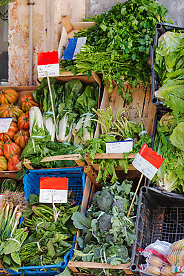 포토 JPG 해외이미지 식물 응시 잡화 음식 농업 토마토 채소 포도 양파 감자 건강 서기 사람없음 빨간색 쇼핑 컬러풀 상점 수확 종 신선 시장 달콤 구매 사과 고객 유기농 열정 망고 발가락 내추럴 살구 해외202004 해외포토 웰빙 시선 감정 산업 컬러 과일 모션 발 맛 열대과일 파일형식 이미지허브