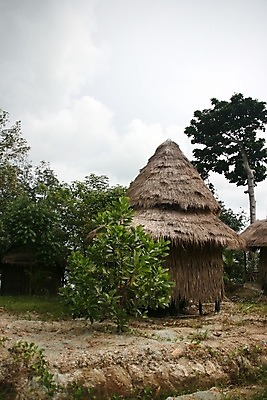 포토 JPG 해외이미지 나무 식물 전통 아시아 모래 바다 섬 여행 태국 자연 하늘 휴가 휴식 손바닥 풍경 사람없음 건물 목재 세로 여름 평화 침묵 고요 그늘 탈출 코코넛 내추럴 이국적 파라다이스 해외202004 해외포토 건축물 손 계절 나라 컨셉 과일 재료 소리 생태계 파일형식 이미지허브