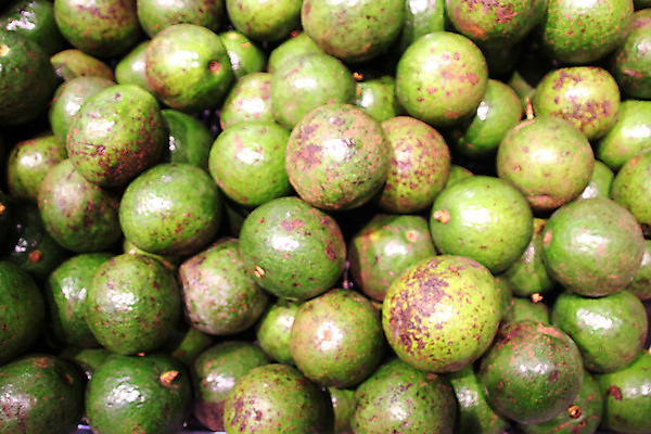 포토 JPG 해외이미지 잡화 여행 토마토 호박 가지 양파 오이 감자 건강 서기 사람없음 가로 노란색 판매 세일 새싹 상점 여러개 당근 수확 발표 그룹 시장 선택 맛 구매 농부 상추 가격 레몬 고객 양배추 지역 후추 소매 아보카도 슈퍼마켓 매각 밭일 총각무 해외202004 해외포토 식물 직업 컬러 다수 컨셉 농업 채소 과일 모션 뿌리채소 쇼핑 무 향신료 파일형식 이미지허브