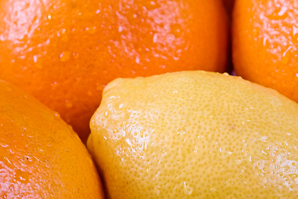 포토 JPG 해외이미지 음식 오렌지 과일 자연 귤 건강 사람없음 초록색 물 노란색 활발 흐름 신선 변화 달콤 맛 떨어짐 레몬 상쾌 질감 날것 라임 구성 숙성 신맛 타르트 해외202004 해외포토 자연요소 감정 빵 컬러 컨셉 생태계 파이_빵 파일형식 이미지허브