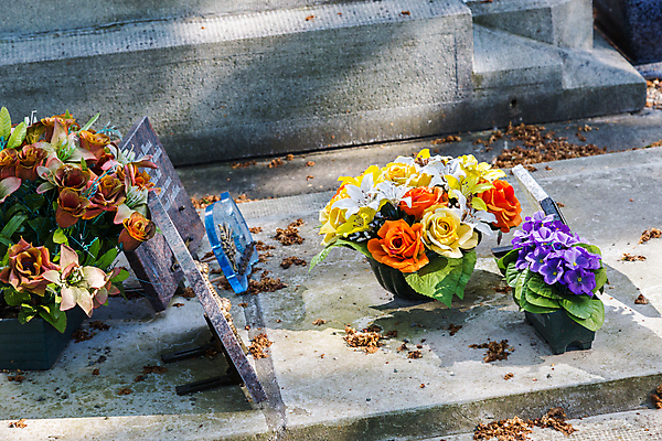 포토 JPG 해외이미지 전통 꽃 종교 오렌지 사람없음 컬러풀 봄 슬픔 가을 흰색 죽음 무덤 비석 심볼 묘사 과거 대리석 기념물 천연기념물 장례 장례식 장식함 추모 많음 해외202004 해외포토 식물 계절 감정 컬러 컨셉 과일 재료 파일형식 이미지허브