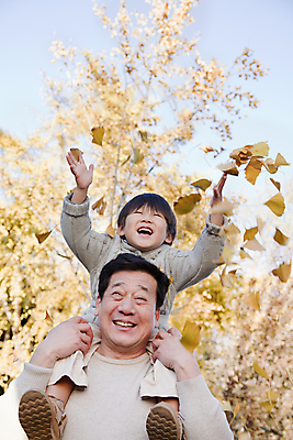 포토 JPG 해외이미지 전신 나무 라이프스타일 계절 공원 할아버지 남자 행복 어린이 잎 장난 가족 포옹 자연 손자 짧은머리 함께함 사랑 서기 미소 웃음 앉기 소년 야외 두명 캐주얼 세로 컬러풀 노란색 손들기 중국 기쁨 가을 잡기 던지기 연결 결합 은퇴 스웨터 흥분 겨울옷 베이징 적재 돌봄 블러 해외202004 해외포토 식물 헤어스타일 옷 공공시설 노년 감정 아시아 컬러 컨셉 상의 겨울 관계 안기 모션 표정 사람 생활 손주 생태계 파일형식 이미지허브