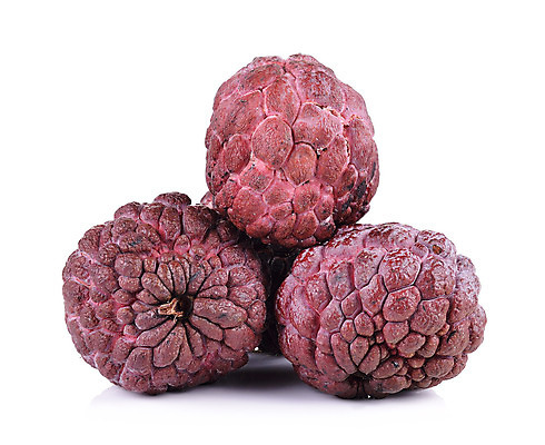 포토 JPG 해외이미지 식물 음식 백그라운드 과일 자연 디저트 건강 씨앗 동양인 사람없음 초록색 보라색 흰색 신선 달콤 사과 오브젝트 유기농 질감 고립 숙성 이국적 커스터드 해외202004 해외포토 웰빙 컬러 인종 맛 크림 생태계 파일형식 이미지허브