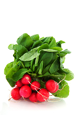 포토 JPG 해외이미지 음식 다이어트 채소 자연 건강 사람없음 빨간색 흰색 신선 뜨거움 다발 날씬함 날것 고립 총각무 해외202004 해외포토 컬러 무 몸매 생태계 파일형식 이미지허브