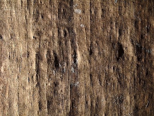 포토 JPG 해외이미지 종이 벽 백그라운드 추상 프레임 사람없음 빛 갈색 노란색 우주 수확 얼룩 황금 균열 선탠 낟알 가득함 고민 질감 복고 정사각형 대리석 페이지 결 비네팅 광 구식 그런지 세피아 양피지 옛날 파피루스 해외202004 해외포토 도형 식물 감정 컬러 무늬 농업 재료 모션 촬영기법 파일형식 이미지허브