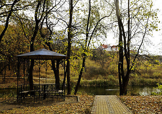 포토 JPG 해외이미지 나무 식물 계절 공원 호수 여행 낙엽 잎 벤치 건축양식 자연 휴식 기술 풍경 사람없음 야외 장식 초록색 물 빛 반사 정원 침묵 가을 나뭇가지 시골 연못 보행자 숲 아치 장면 해외202004 해외포토 자연요소 공공시설 건축 컬러 컨셉 의자 소리 생태계 파일형식 이미지허브