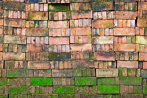 포토 JPG 해외이미지 나무 디자인 외관 벽 백그라운드 패턴 탁자 표면 추상 바닥 프레임 건조 사람없음 목재 장식 갈색 어둠 수확 시골 소나무 판넬 거친 널 낟알 책상 질감 복고 매듭 내추럴 그런지 옛날 줄서기 효과 해외202004 해외포토 식물 컬러 가구 무늬 농업 재료 모션 파일형식 이미지허브