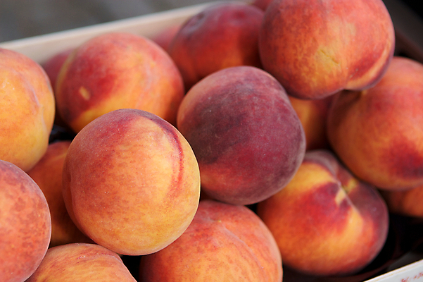 포토 JPG 해외이미지 라이프스타일 지구 음식 백그라운드 농업 다이어트 과일 벽지 건강 사람없음 여름 농장 정원 수확 가을 신선 상품 먹기 유기농 생태계 원예 복숭아 칼로리 내추럴 밭일 생태학 채식주의자 해외202004 해외포토 웰빙 계절 교육 산업 모션 취미 생활 채식 파일형식 이미지허브