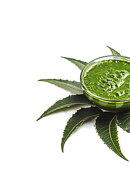 포토 JPG 해외이미지 나무 식물 줄기 백그라운드 잎 농업 다이어트 귤 건강 사람없음 목재 치료 초록색 약 건강관리 흰색 나뭇가지 신선 사발 약초 질병 자르기 허브 유기농 반죽 신성 망사 내추럴 농약 당뇨병 억울 해외202004 해외포토 웰빙 감정 산업 컬러 과일 재료 의학 모션 관리 직물 풀_식물 사기그릇 파일형식 이미지허브