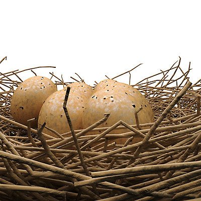 포토 JPG 해외이미지 전통 디자인 계절 야생동물 백그라운드 일러스트 자연 조류 휴가 부활절 3 미술 사람없음 그래픽 3D 계란 봄 흰색 축하 둥지 심볼 그림 만들기 내추럴 고립 해외202004 해외포토 동물 기념일 컬러 컨셉 모션 문화예술 알 디지털합성 생태계 파일형식 이미지허브