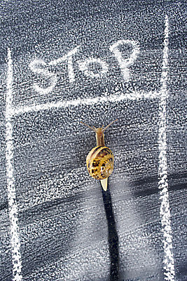 포토 JPG 해외이미지 동물 도로 길 여행 풍경 사람없음 달리기 젖음 위험 속도 시작 달팽이 신호 노력 느림 건너기 해외202004 해외포토 컨셉 교통시설 모션 연체동물 파일형식 이미지허브