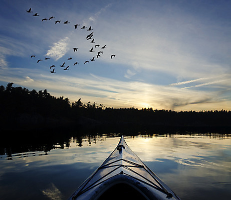 포토 JPG 해외이미지 나무 라이프스타일 실루엣 호수 스포츠 여행 백그라운드 2 자연 벽지 하늘 휴가 건강 풍경 사람없음 야외 초록색 여름 파란색 운동 태양 반사 평화 맑음 일몰 보트 고독 저녁 카약 거위 뱃놀이 수평선 해외202004 해외포토 자연요소 식물 계절 감정 컬러 컨셉 배_교통 조류 날씨 촬영기법 생활 노을 전통놀이 수상스포츠 야간 생태계 파일형식 이미지허브