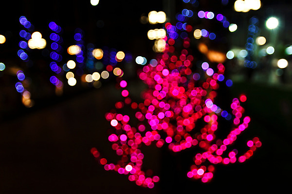 포토 JPG 해외이미지 나무 디자인 도로 분홍색 백그라운드 크리스마스 패턴 추상 사람없음 야외 빛 컬러풀 보라색 흰색 점 원형 야간 소프트포커스 보케 광 블러 유흥 효과 해외202004 해외포토 자연요소 도형 식물 기념일 길 컬러 무늬 교통시설 촬영기법 파일형식 이미지허브