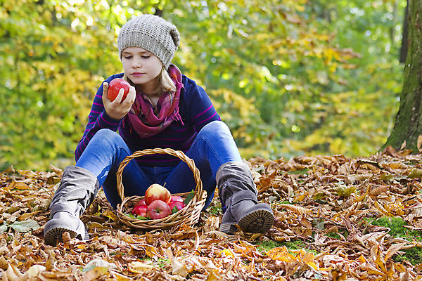 포토 JPG 해외이미지 전신 나무 백인 1 라이프스타일 옷 공원 행복 얼굴 어린이 음식 컨셉 잎 과일 자연 따뜻함 건강 한명 미소 사람 앉기 야외 빨간색 소풍 바구니 정원 맑음 가을 잡기 사과 소프트포커스 10월 카피스페이스 해외202004 해외포토 서양인 식물 계절 공공시설 감정 컬러 모션 날씨 촬영기법 표정 생활 신체부위 야외활동 공백 날짜 생태계 파일형식 이미지허브