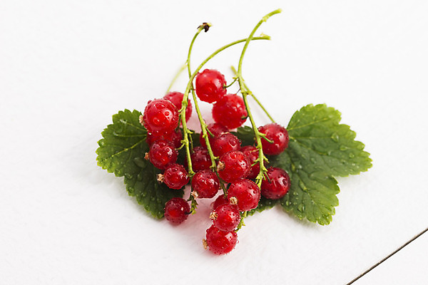 포토 JPG 해외이미지 열매 음식 줄기 백그라운드 잎 채소 과일 자연 건강 사람없음 빨간색 초록색 여름 농작물 흰색 나뭇가지 신선 그룹 달콤 다발 먹기 오브젝트 상쾌 유기농 날것 건포도 고립 숙성 채식주의자 전경 해외202004 해외포토 나무 식물 웰빙 계절 감정 컬러 농업 모션 포도 풍경 맛 생태계 채식 건과일 파일형식 탑뷰 이미지허브