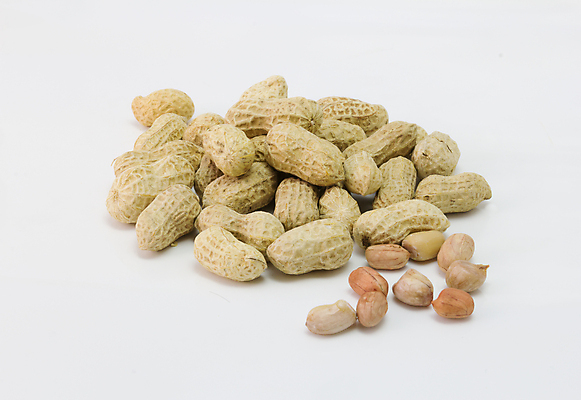 포토 JPG 해외이미지 식물 계절 음식 백그라운드 다이어트 과일 재료 자연 건조 건강 씨앗 사람없음 갈색 쌓기 견과류 껍질 흰색 신선 오픈 그룹 맛 정상 먹기 오브젝트 유기농 날것 땅콩 흙더미 내추럴 고립 꼬투리 채식주의자 해외202004 해외포토 웰빙 컬러 컨셉 모션 흙 생태계 채식 파일형식 더미 이미지허브