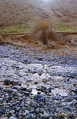 포토 JPG 해외이미지 나무 식물 계절 자연 산 건조 풍경 사람없음 가로 강 환경 가을 암석 조약돌 바위 개울 황무지 언덕 문제 땅바닥 해외202004 해외포토 바닥 돌_바위 생태계 파일형식 이미지허브