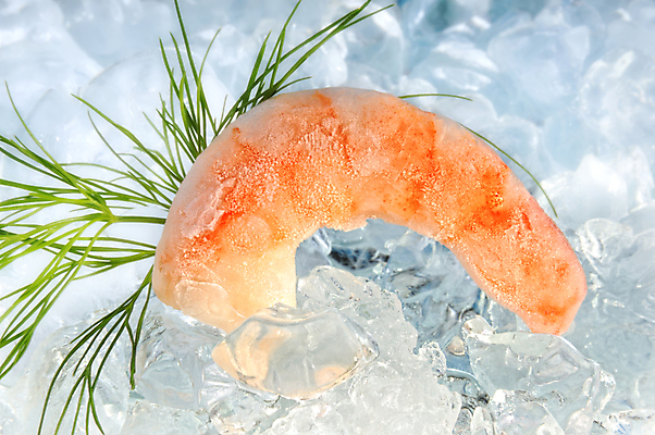 포토 JPG 해외이미지 음식 바다 조개 새우 건강 갑각류 요리 사람없음 빛 고급 맛 먹기 해산물 만족 이국적 스타일 해외202004 해외포토 동물 감정 컨셉 모션 어패류 파일형식 이미지허브