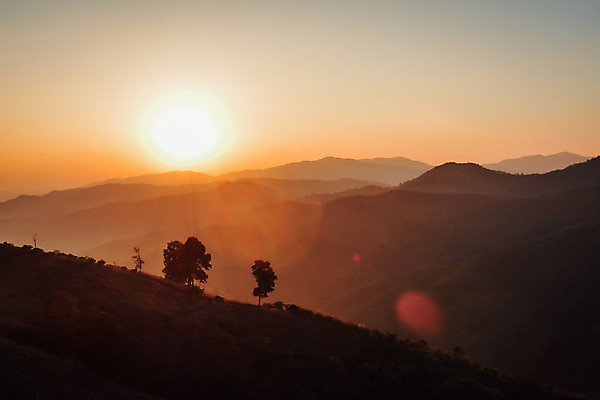 포토 JPG 해외이미지 나무 식물 구름 계절 공원 여행 백그라운드 자연 하늘 아침 산 발렌타인데이 사랑 풍경 사람없음 야외 여름 빛 햇빛 태양 노란색 일출 환경 일몰 봄 새벽 안개 가을 시골 달콤 저녁 숲 땅 장면 천국 내추럴 해외202004 해외포토 주간 자연요소 공공시설 감정 컬러 데이이벤트 날씨 노을 맛 야간 생태계 파일형식 이미지허브