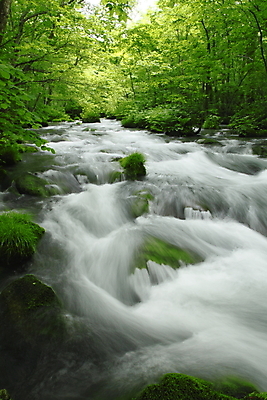 포토 JPG 해외이미지 나무 자연 사람없음 초록색 물 햇빛 일본 힘 폭포 광선 해외202004 해외포토 자연요소 식물 아시아 컬러 태양 생태계 파일형식 이미지허브