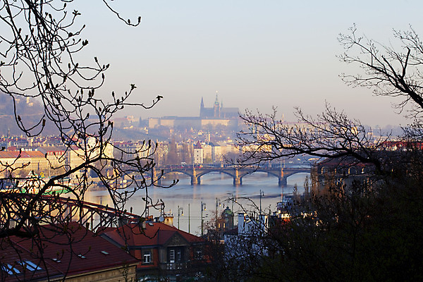 포토 JPG 해외이미지 나무 식물 낙엽 잎 밭 농업 오렌지 자연 아침 풍경 사람없음 야외 가로 빨간색 여름 농작물 햇빛 태양 농장 노란색 일몰 안개 성장 바위 소나무 황무지 황금 고독 숲 밀 오브젝트 유기농 보리 뿌리 지역 전나무 숙성 가문비나무 해외202004 해외포토 주간 자연요소 웰빙 계절 감정 산업 컬러 과일 날씨 곡류 노을 돌_바위 생태계 파일형식 이미지허브