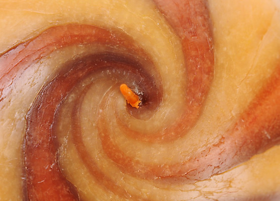 포토 JPG 해외이미지 선 파도 백그라운드 컨셉 곡선 추상 디저트 나선형 사탕 사람없음 그래픽 갈색 환경 초콜릿 어둠 흐름 안개 소용돌이 회오리 원형 달콤 맛 크림 순수 질감 웨이브 부드러움 마법 무스 잔물결 캐러멜 해외202004 해외포토 도형 물결 음식 바다 컬러 무늬 날씨 감각 파일형식 이미지허브