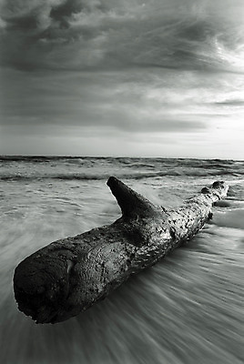 포토 JPG 해외이미지 구름 모래 바다 하늘 흑백 사람없음 목재 물 일몰 서핑 소금물 해외202004 해외포토 자연요소 나무 재료 촬영기법 노을 수상스포츠 파일형식 이미지허브