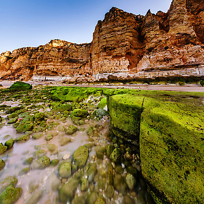 포토 JPG 해외이미지 유럽 모래 파도 바다 분홍색 여행 자연 조류 하늘 아침 휴가 이끼 풍경 사람없음 초록색 물 여름 파란색 일출 새벽 조약돌 바위 황금 포르투갈 부식 휴양지 질감 웅덩이 지역 대서양 해외202004 해외포토 주간 자연요소 동물 계절 나라 컬러 노을 장소 돌_바위 생태계 파일형식 이미지허브
