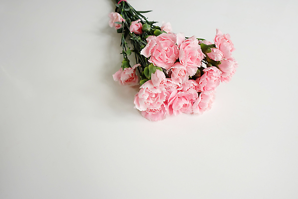 포토 JPG 해외이미지 식물 계절 꽃잎 꽃 분홍색 꽃다발 잎 꽃무늬 자연 발렌타인데이 종류 사람없음 초록색 컬러풀 벚꽃 축하 신선 개화 자르기 다발 배열 유기농 향기 해외202004 해외포토 웰빙 컬러 컨셉 무늬 모션 데이이벤트 생태계 냄새 파일형식 이미지허브