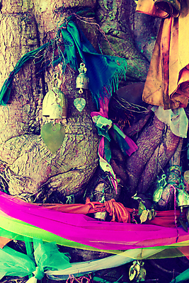 포토 JPG 해외이미지 나무 전통 아시아 종교 잎 불교 오렌지 태국 자연 사람없음 노란색 여행객 희망 직물 사찰 영혼 역사 질감 뿌리 신성 동쪽 사방 숭배 신앙심 옛날 해외202004 해외포토 식물 감정 나라 컬러 과일 종교건축 사람 방향 생태계 파일형식 이미지허브