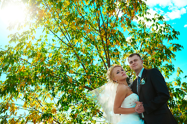 포토 JPG 해외이미지 백인 커플 응시 드레스 여자 남자 꽃 행복 얼굴 꽃다발 결혼 2 밭 관계 포옹 결혼식 남편 함께함 사랑 사람 정장 성인 야외 두명 유행 우주 흰색 축하 잡기 아내 우아함 해외202004 해외포토 서양인 식물 시선 옷 감정 컬러 컨셉 농업 안기 모션 이벤트 신체부위 파일형식 이미지허브