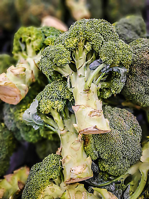 포토 JPG 해외이미지 음식 백그라운드 농업 채소 자연 건강 사람없음 초록색 컬러풀 신선 시장 주식 브로콜리 유기농 양배추 내추럴 해외202004 해외포토 웰빙 산업 컬러 금융 생태계 파일형식 이미지허브