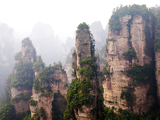 포토 JPG 해외이미지 나무 공원 아시아 지구 자연 산 동양인 풍경 사람없음 초록색 세계 계곡 중국 바위 기둥 재산 숲 신비 땅 심볼 즐거움 부식 호기심 사암 내추럴 옛날 전국 특별함 아바타 해외202004 해외포토 식물 공공시설 건축 감정 나라 컬러 컨셉 인종 금융 돌_바위 생태계 파일형식 이미지허브