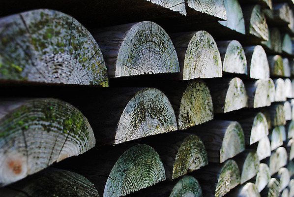 포토 JPG 해외이미지 나무 산업 사람없음 건물 목재 빛 쌓기 통나무 봉 잡동사니 내추럴 창백 벌목 수목 많음 해외202004 해외포토 식물 건축물 컨셉 재료 모션 파일형식 이미지허브