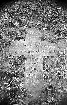 포토 JPG 해외이미지 기독교 종교 십자가 생각 이끼 사람없음 평화 믿음 슬픔 죽음 무덤 잡초 고독 신비 비석 묘사 명상 애도 신성 신앙심 옛날 장례식 해외202004 해외포토 식물 감정 컨셉 파일형식 이미지허브