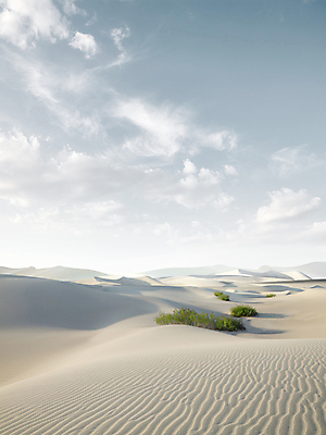 포토 JPG 해외이미지 물결 모래 파도 여행 백그라운드 곡선 아프리카 자연 건조 따뜻함 이집트 그림자 풍경 사람없음 야외 여름 모래사장 태양 사막 뜨거움 거친 갈증 모래언덕 사파리 언덕 질감 지역 동쪽 사하라 생태학 아랍어 해외202004 해외포토 자연요소 계절 교육 나라 선 바다 방향 생태계 파일형식 이미지허브