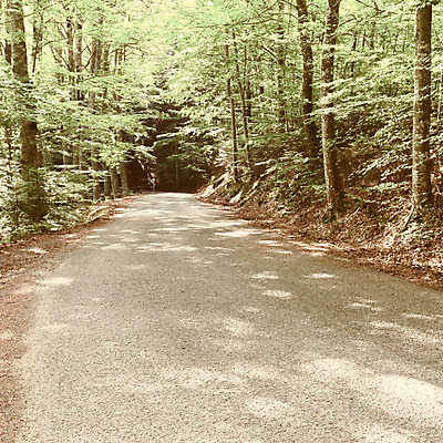 포토 JPG 해외이미지 나무 식물 공원 유럽 도로 여행 잎 곡선 교통시설 그림자 경고 풍경 사람없음 야외 초록색 햇빛 이탈리아 운전 수확 덮개 시골 고속도로 터널 숲 그늘 아스팔트 방향 언덕 복고 정사각형 블러 생태학 자동 직진 토스카나 필터 해외202004 해외포토 도형 공공시설 교육 나라 길 선 컬러 교통 농업 모션 태양 뚜껑 시설 파일형식 이미지허브