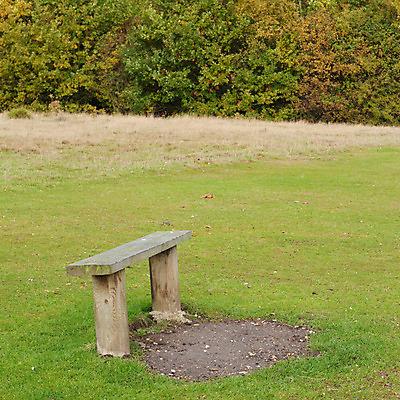 포토 JPG 해외이미지 나무 공원 벤치 오렌지 영국 잉글랜드 풍경 사람없음 야외 목재 초록색 갈색 가을 시골 11월 정사각형 10월 해외202004 해외포토 도형 식물 계절 공공시설 유럽 컬러 의자 과일 재료 날짜 파일형식 이미지허브