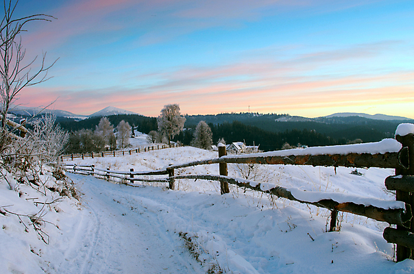 포토 JPG 해외이미지 나무 구름 계절 여행 백그라운드 크리스마스 겨울 자연 하늘 아침 동화 휴가 스키 산 풍경 사람없음 야외 목재 햇빛 일출 얼음 일몰 놀람 새벽 하이킹 추위 안개 덮개 백발 축하 오스트리아 숲 스위스 즐거움 서리 전나무 강렬 폭설 눈내림 가문비나무 해외202004 해외포토 주간 자연요소 식물 헤어스타일 기념일 감정 유럽 컨셉 재료 레저 날씨 겨울스포츠 눈_날씨 표정 태양 노을 뚜껑 자연재해 생태계 파일형식 이미지허브