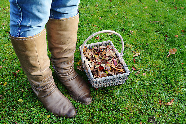 포토 JPG 해외이미지 식물 신발 잎 발 자연 부츠 서기 사람 잔디 사람없음 야외 초록색 유행 바구니 가을 청바지 시골 컨테이너 가죽 묘사 오브젝트 원예 짜임 핸드메이드 해외202004 해외포토 계절 산업 컬러 바지 모션 취미 신체부위 생태계 파일형식 이미지허브