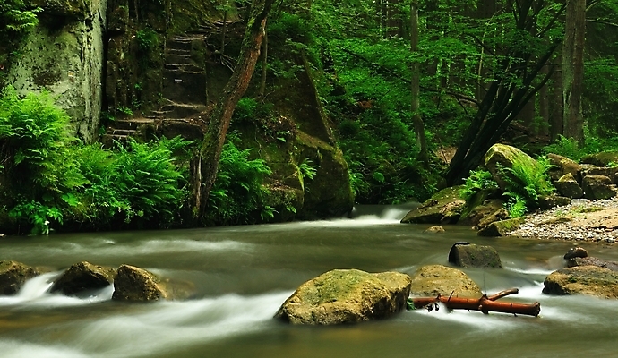 포토 JPG 해외이미지 나무 식물 계절 공원 잎 자연 아침 휴식 이끼 풍경 사람없음 야외 초록색 물 여름 빛 강 평화 환경 고요 봄 폭포 젖음 흐름 추위 가을 바위 신선 개울 급류 떨어짐 숲 열대우림 내추럴 양치류 해외202004 해외포토 주간 자연요소 공공시설 컬러 컨셉 돌_바위 생태계 파일형식 이미지허브