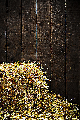 포토 JPG 해외이미지 계절 음식 벽 백그라운드 패턴 농업 자연 날씨 건조 사람없음 야외 목재 여름 농장 농경지 갈색 노란색 쌓기 어둠 수확 가을 시골 판넬 거친 황금 건초더미 볏짚 널 밀 질감 복고 뭉치 밀짚 헛간 내추럴 외양간 그런지 밭일 옛날 해외202004 해외포토 나무 산업 컬러 무늬 재료 모션 곡류 건초 짚 생태계 저장고 파일형식 더미 이미지허브