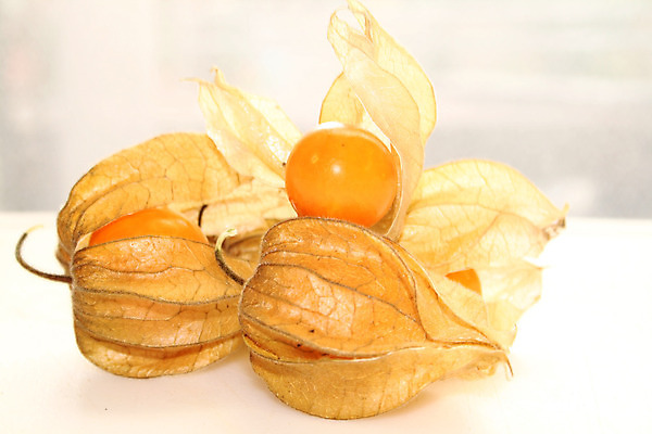 포토 JPG 해외이미지 음식 오렌지 과일 사람없음 노란색 신선 달콤 상쾌 베리 건강식 구스베리 열대기후 해외202004 해외포토 열매 감정 컬러 맛 파일형식 이미지허브