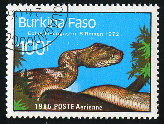 포토 JPG 해외이미지 동물 척추동물 야생동물 파충류 자연 봉투 생물 사람없음 수확 골동품 독약 뱀 메시지 역사 위험 물개 편지 복고 사냥 엽서 우표 옛날 해외202004 해외포토 컨셉 농업 포유류 바다동물 생태계 파일형식 이미지허브