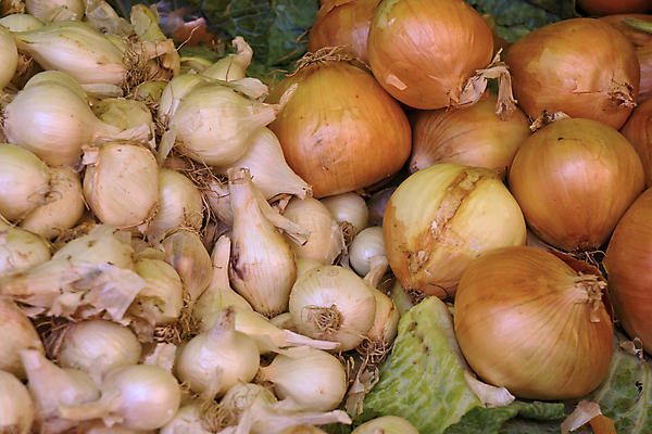 포토 JPG 해외이미지 식물 잡화 문화 백그라운드 잎 농업 다이어트 채소 재료 전구 양파 요리 사람없음 초록색 갈색 신선 그룹 시장 다발 피부 유기농 날것 뿌리 향료 파 샬롯 해외202004 해외포토 웰빙 산업 컬러 건강 신체부위 향기 냄새 파일형식 이미지허브