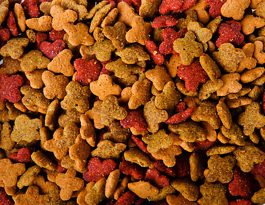 포토 JPG 해외이미지 동물 음식 조각 백그라운드 패턴 농업 재료 건조 세포 건강 요리 씨앗 사람없음 빨간색 반려동물 갈색 노란색 쌓기 식사 고양이 개 강아지 낟알 먹기 배고픔 오브젝트 유기농 질감 서식 알맹이 날것 흙더미 송곳니 내추럴 수유 채식주의자 많음 해외202004 해외포토 식물 웰빙 산업 컬러 컨셉 무늬 포유류 모션 흙 치아 채식 파일형식 더미 이미지허브